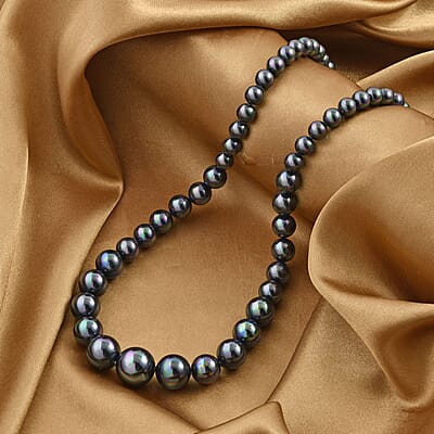 Tahitian Color Shell Pearl Necklace 20-22 Inches in Silvertone