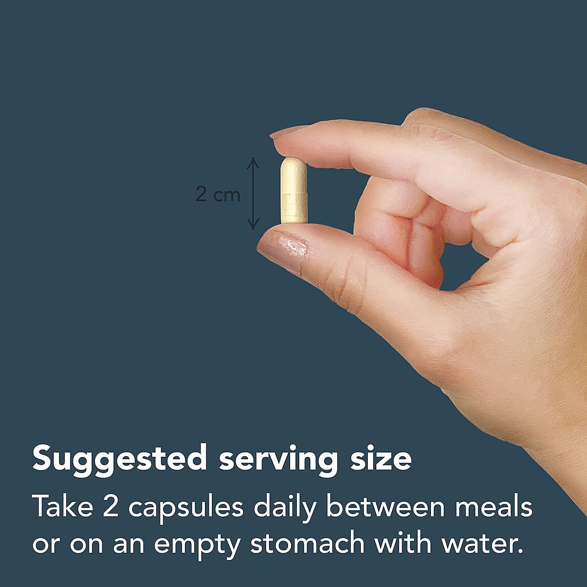 Vitamin Bounty Pro-100 Row Probiotics (Del. in 10-15 Days) image number 2