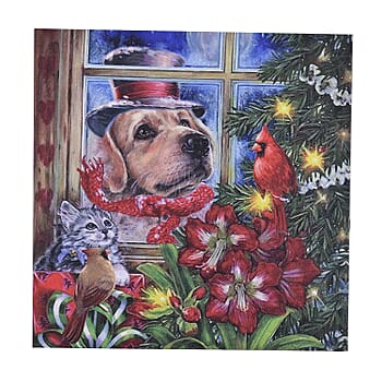 Dog - Product card gallery slide 1 (9431244112127)