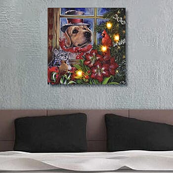 Dog - Product card gallery slide 2 (9431244112127)