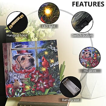 Dog - Product card gallery slide 3 (9431244112127)