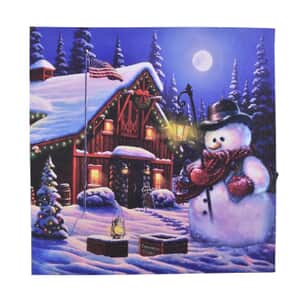 Homesmart Multi Color Canvas 4-LED Snowman with Lantern Painting (2xAA Battery Not Included)