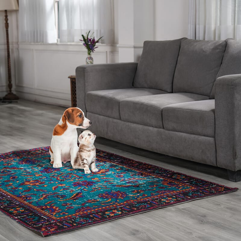 Homesmart Blue Color Handwoven Digital Printed Rug Made from Recycled Plastic Bottles