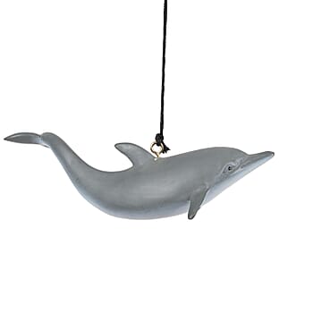 Dolphin - Product card gallery slide 3 (10214342295865)