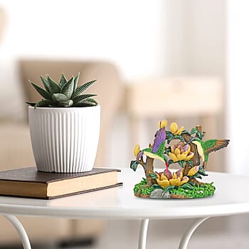Hummingbird - Product card gallery slide 2 (9431614980351)