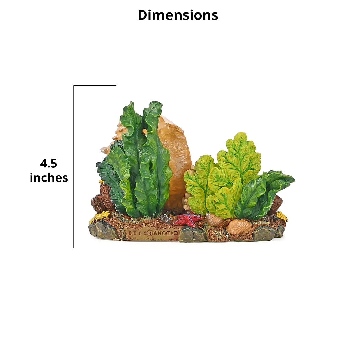 Closeout Hand Painted Resin Figurine Sea Shell image number 5