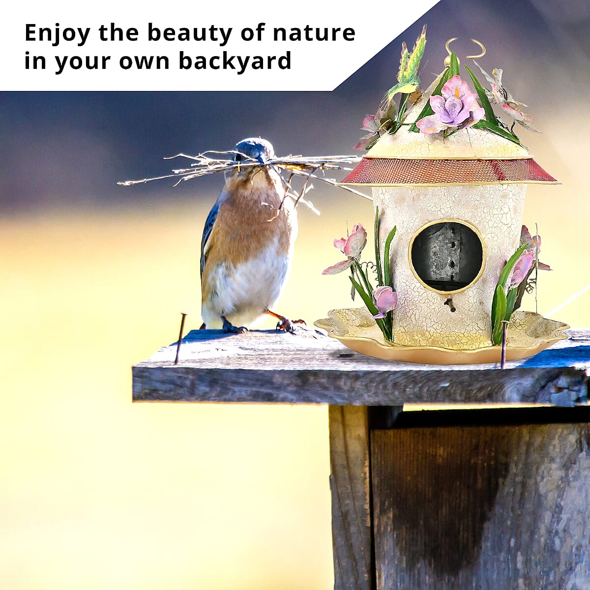 Birdhouse Round - Hummingbird with Iris image number 1