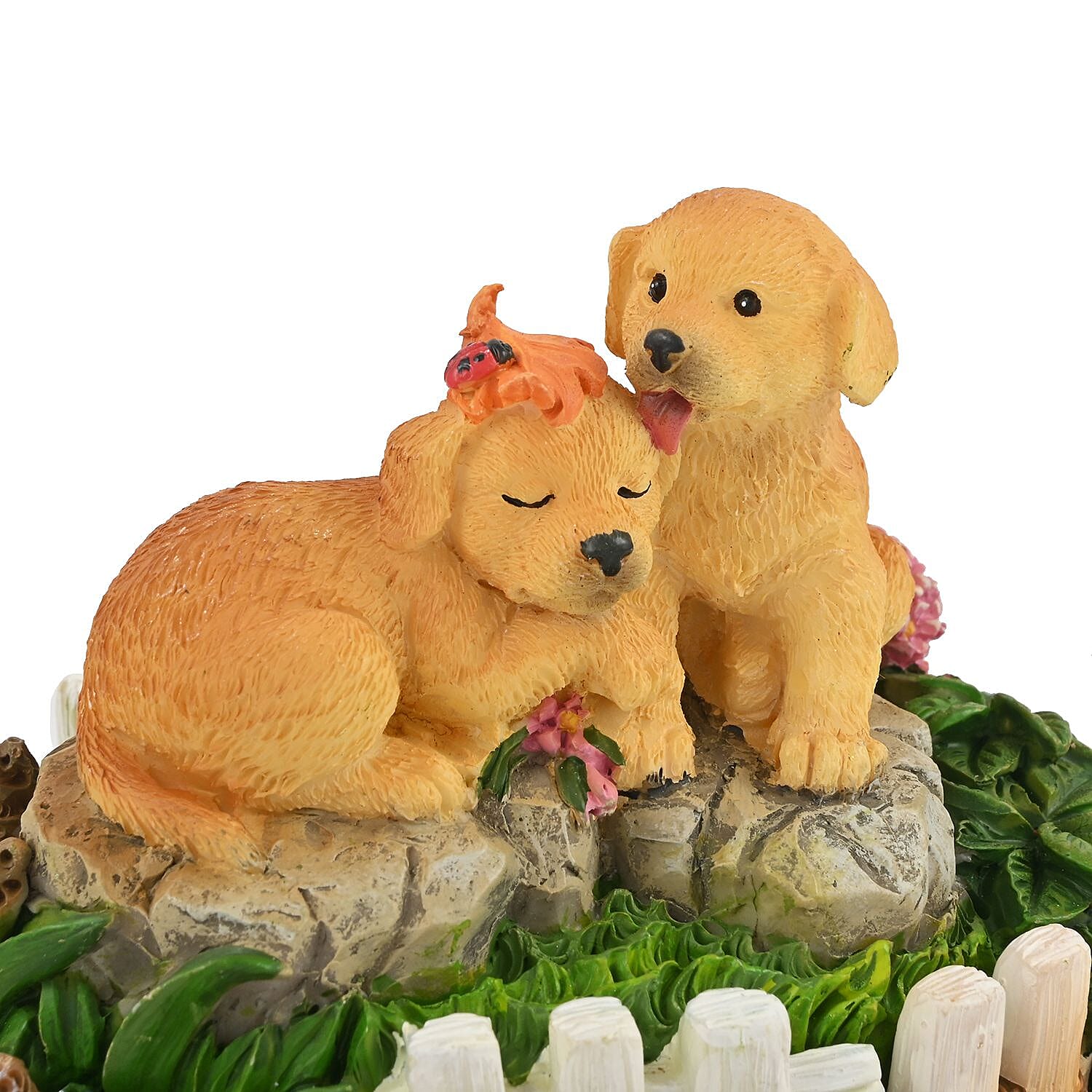 Hand Painted Resin Trinket Boxes - Dog