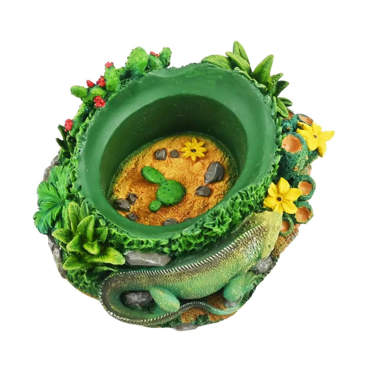 Hand Painted Resin Trinket Boxes - Iguana image number 6