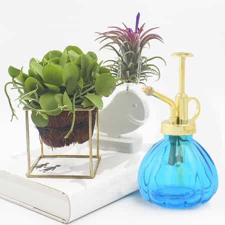 Blue and Gold Glass Plant Water Mister (Capacity:230 ml) image number 1