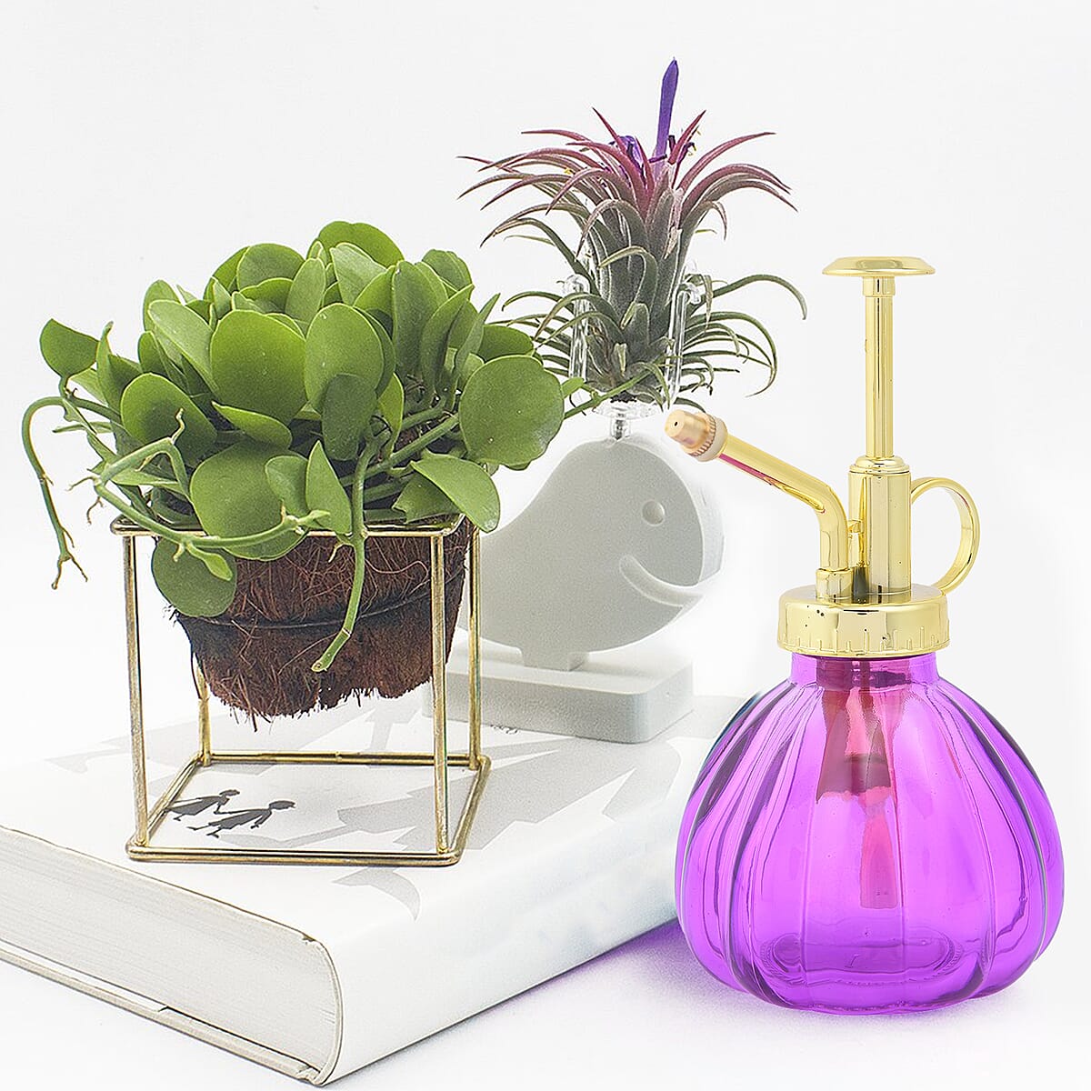 Purple and Gold Glass Plant Water Mister (Capacity:230 ml) image number 1