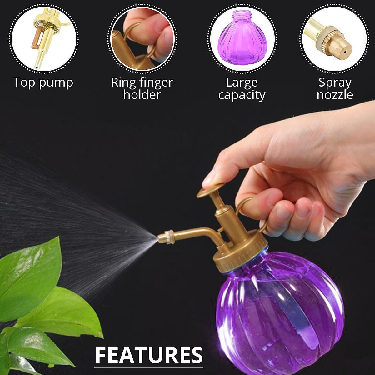 Purple and Gold Glass Plant Water Mister (Capacity:230 ml) image number 2