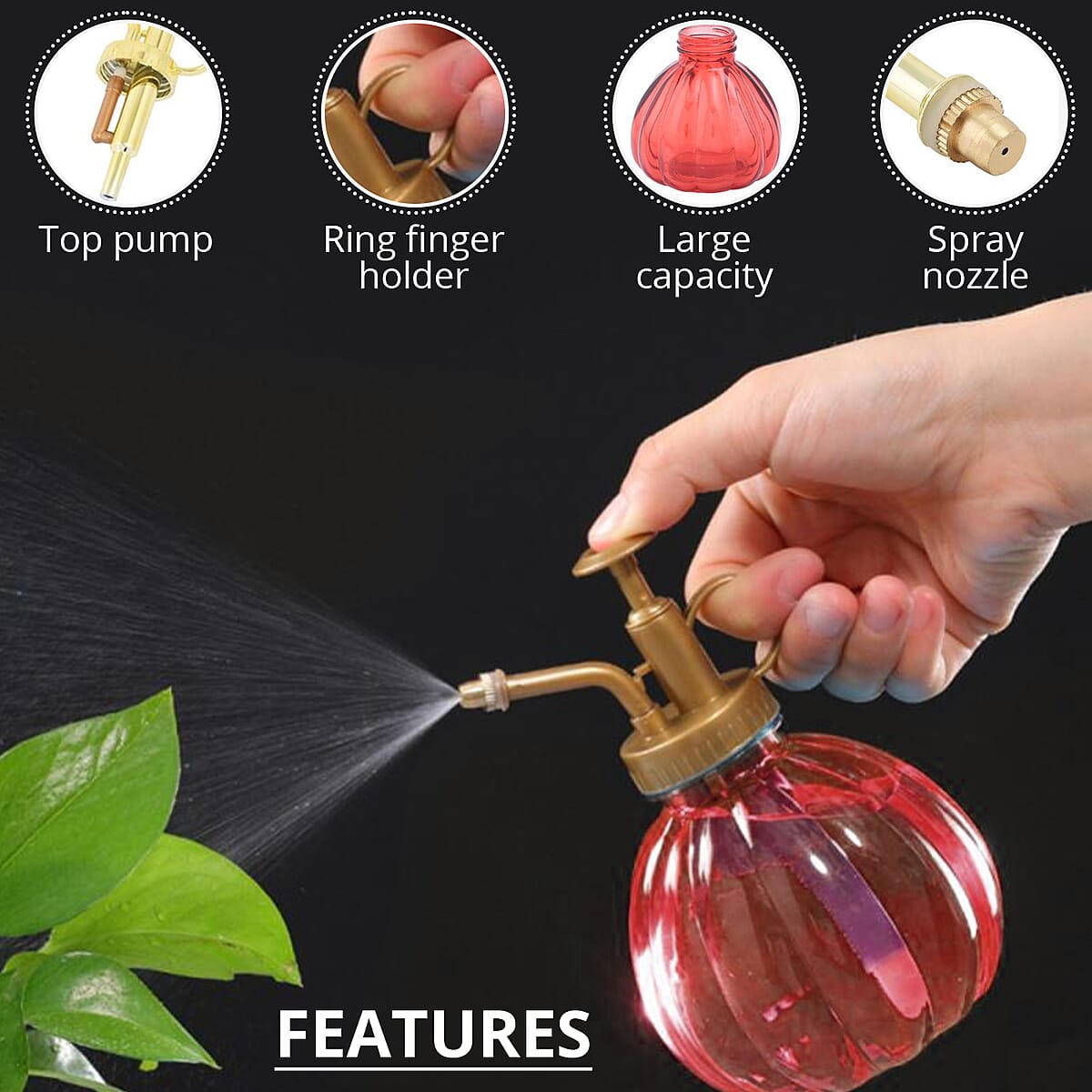 Buy Red and Gold Glass Plant Water Mister (Capacity230 ml) at ShopLC.