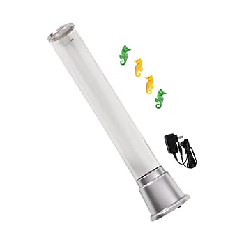 Seahorse - Product card gallery slide 1 (10177055588665)