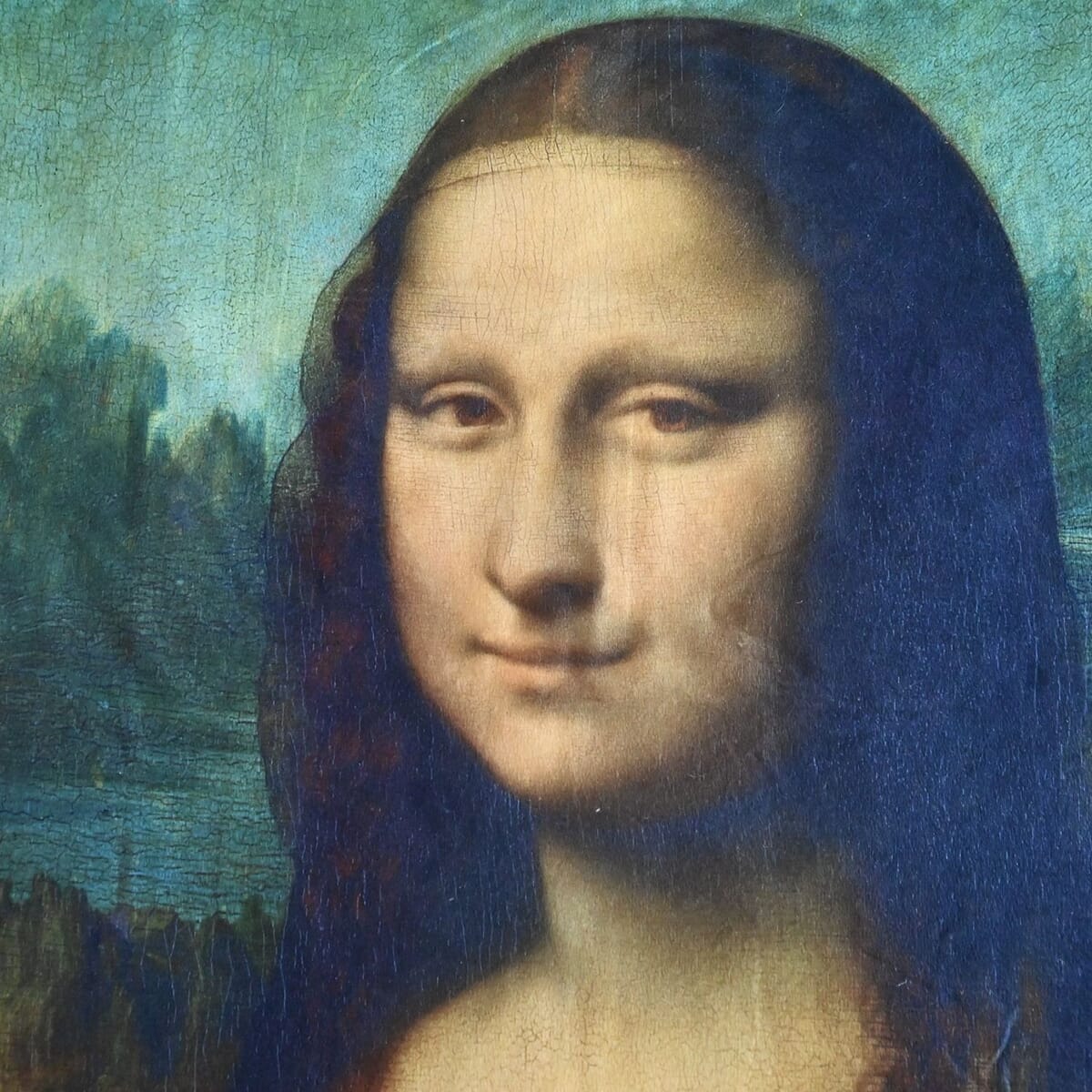 Seebo Super Soft Cozy Luxurious Mona Lisa Art Painting Throw Blanket image number 4