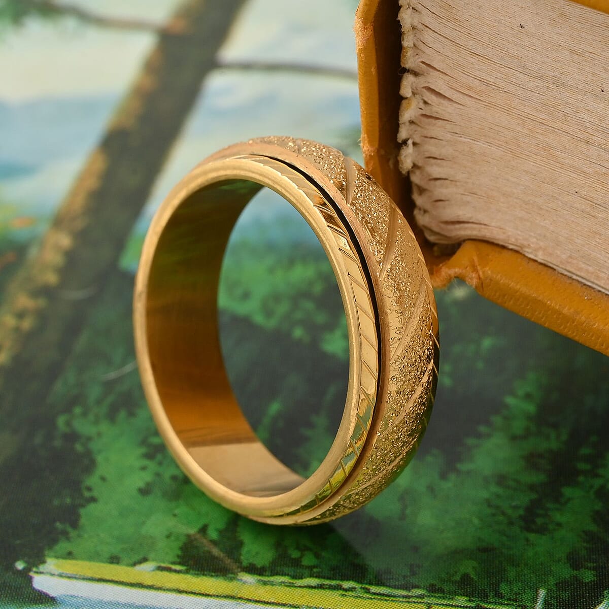 Spinner Band Ring in ION Plated YG Stainless Steel (Size 9.0) image number 1