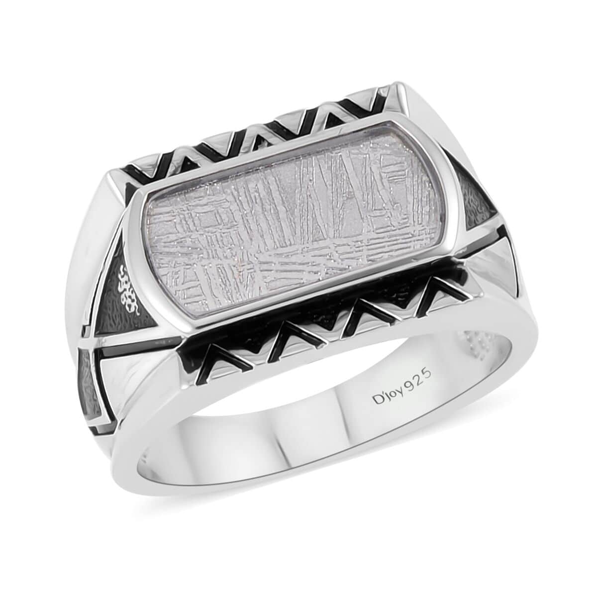 Marvelous Meteorite Men's Ring in Sterling Silver image number 0