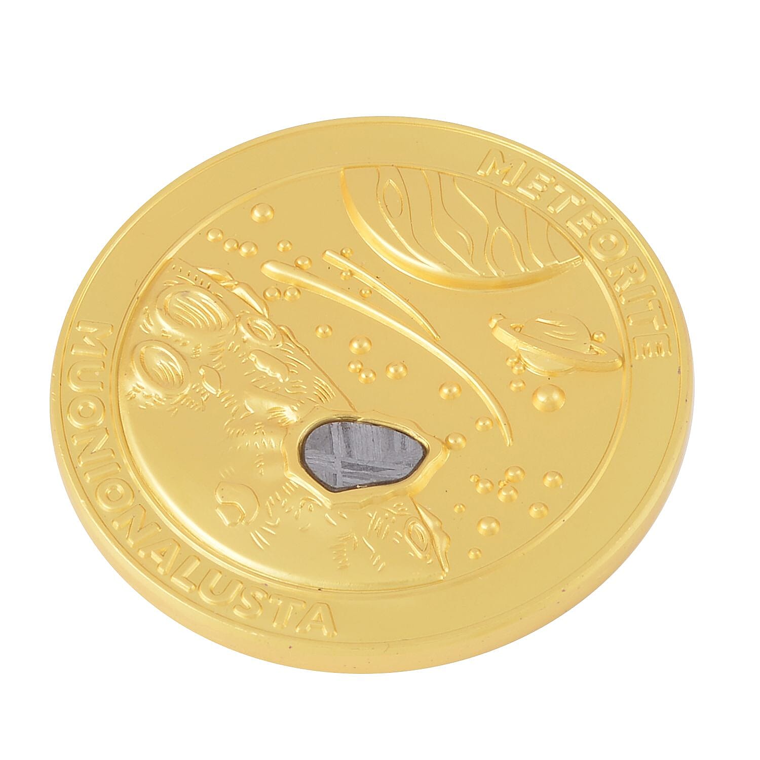 Muonionalusta Marvelous Meteorite Specimen in Goldtone