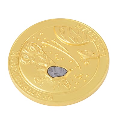 Muonionalusta Marvelous Meteorite Specimen in Goldtone
