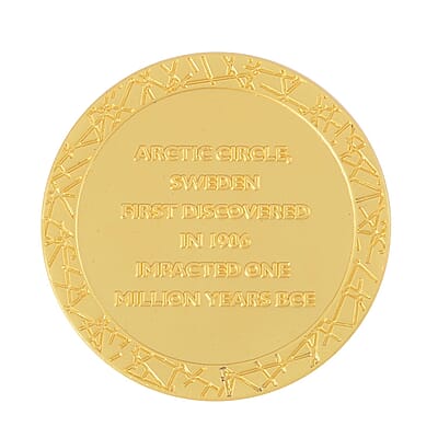 Muonionalusta Marvelous Meteorite Specimen in Goldtone