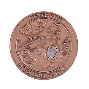 Muonionalusta Marvelous Meteorite Specimen in Rosetone