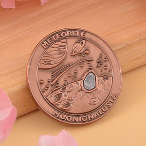 Muonionalusta Marvelous Meteorite Specimen in Rosetone