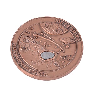 Muonionalusta Marvelous Meteorite Specimen in Rosetone