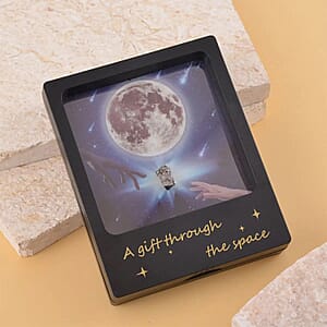 Marvelous Meteorite Specimen Collection/Gift Piece