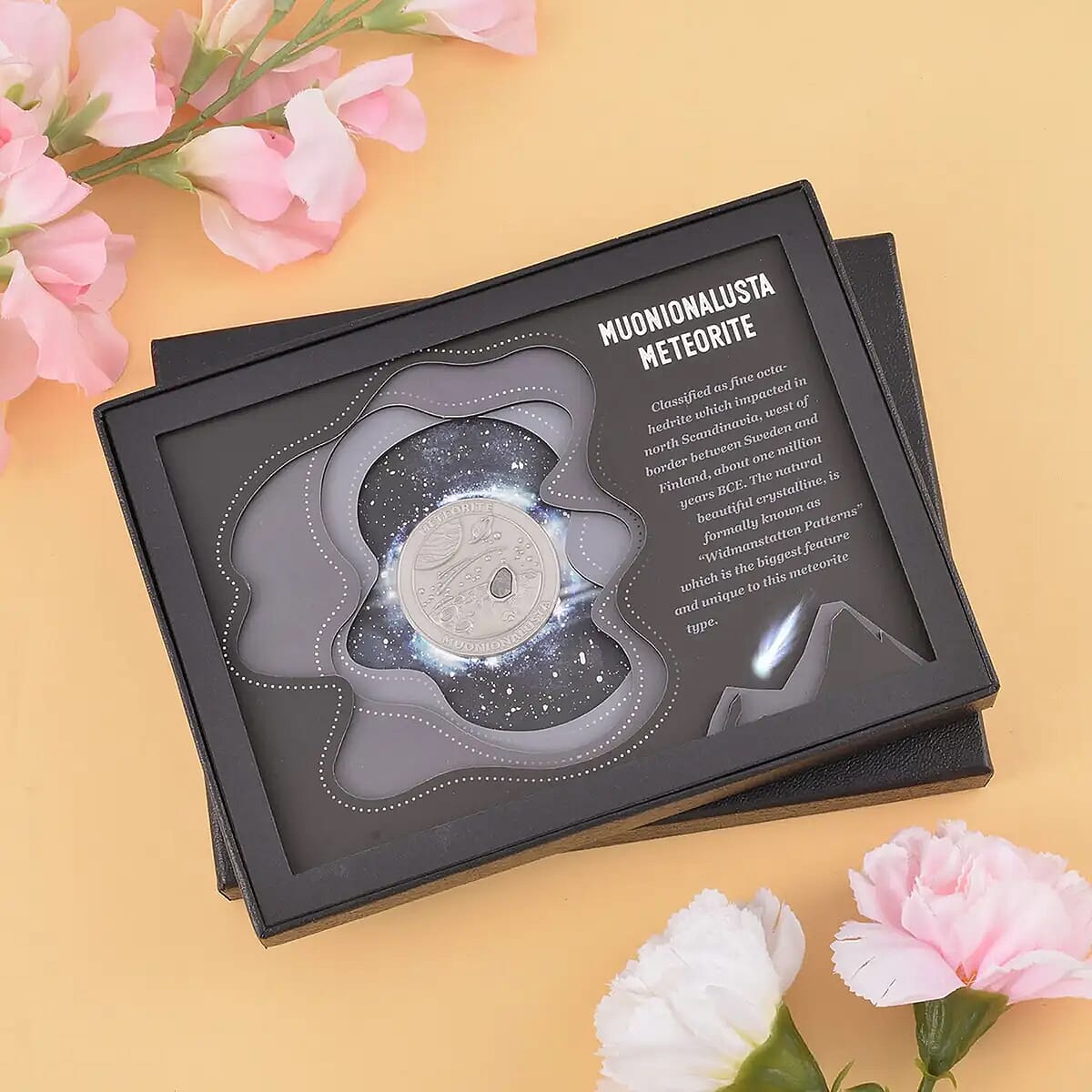 Muonionalusta Marvelous Meteorite Specimen Coin in Silvertone image number 1