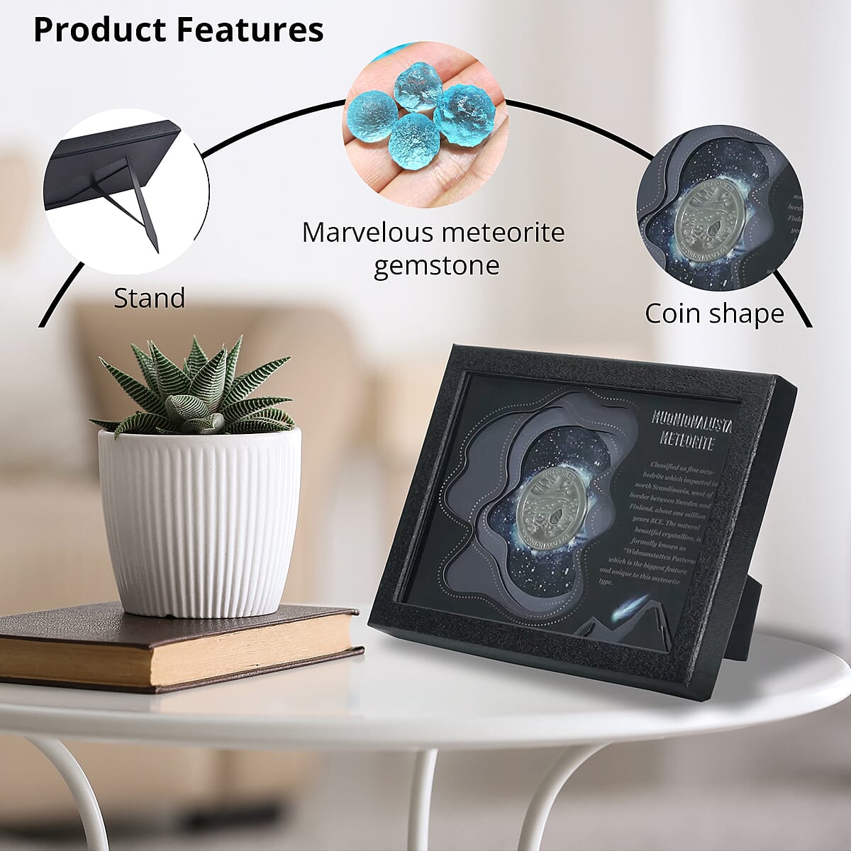 Muonionalusta Marvelous Meteorite Specimen Coin in Silvertone image number 3