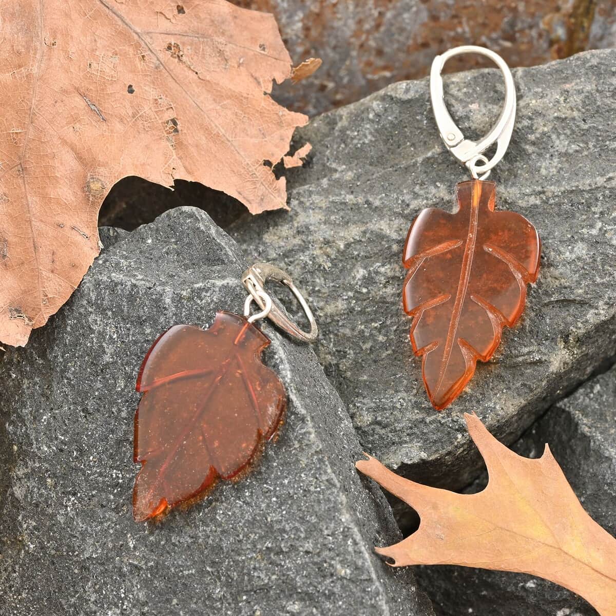 Baltic Amber Earrings in Sterling Silver image number 1