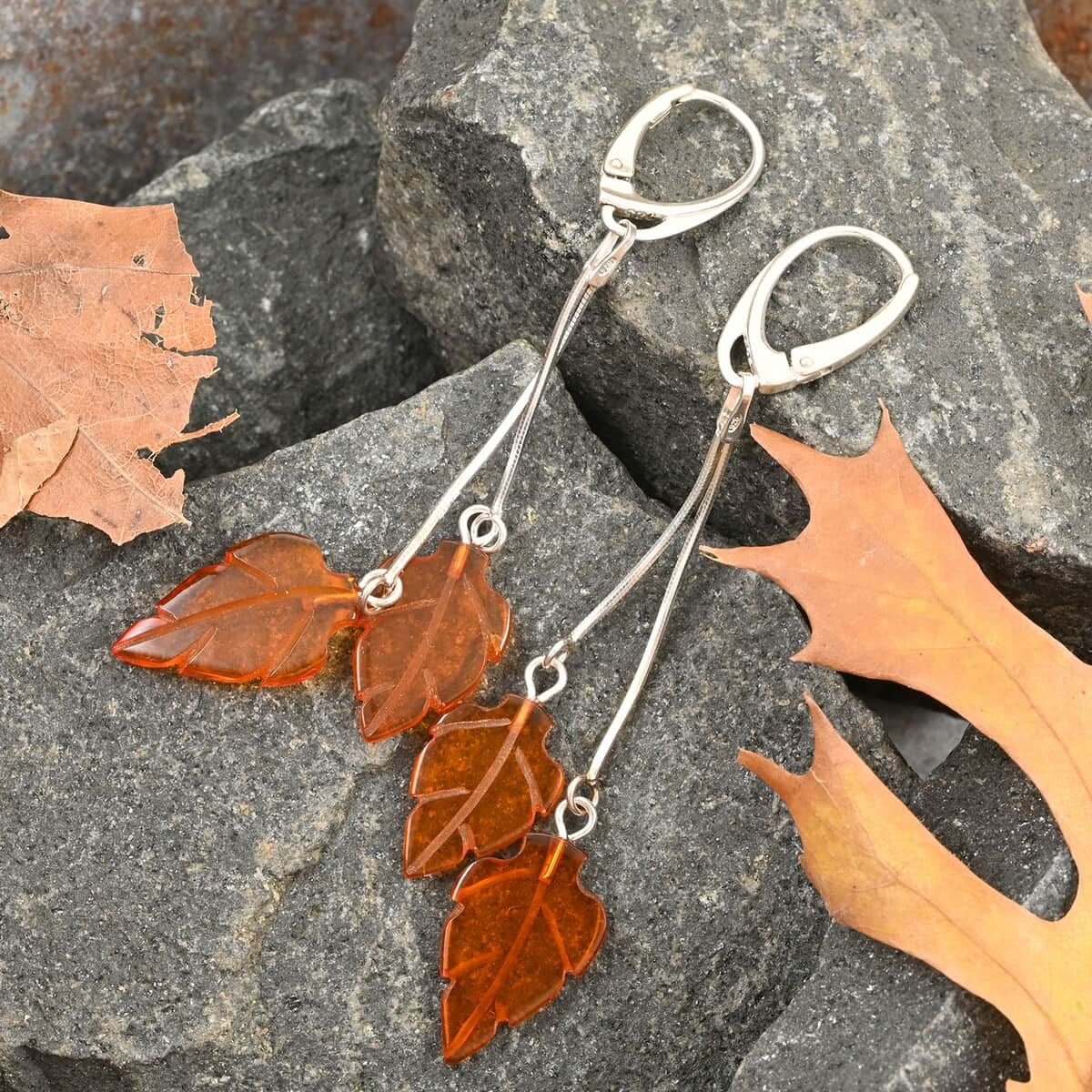 Baltic Amber Earrings in Sterling Silver image number 1