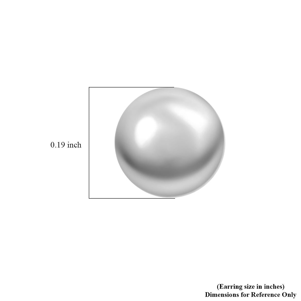 14K White Gold 5mm Ball Stud Earrings image number 4