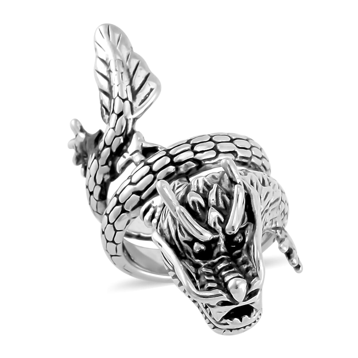 Dragon Men's Ring in Stainless Steel (Size 10.0) image number 0