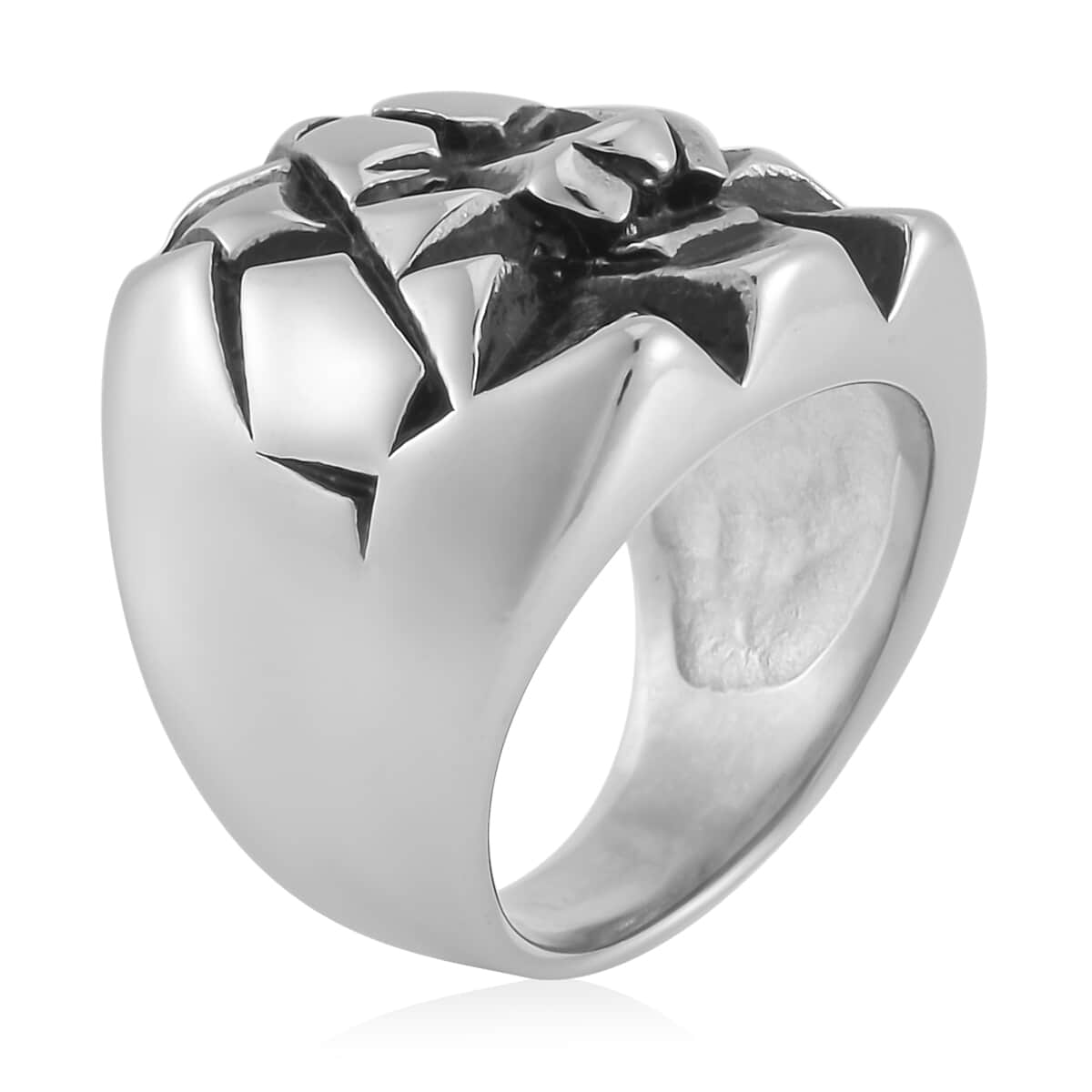 Lion Men's Ring in Stainless Steel (Size 10.0) image number 3