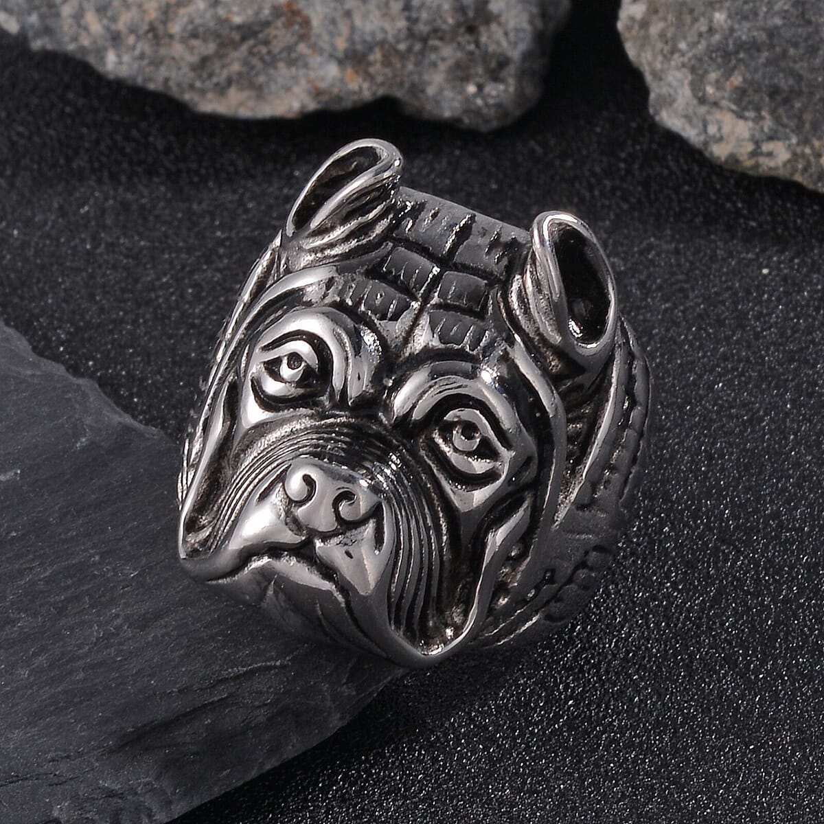 Bulldog Head Men's Ring in Stainless Steel (Size 9.0) image number 1