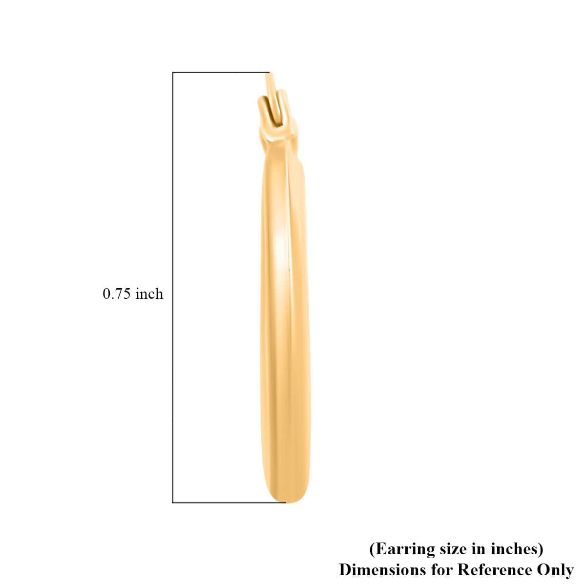 JCK Golden Deal 14K Yellow Gold Hoop Earrings image number 4