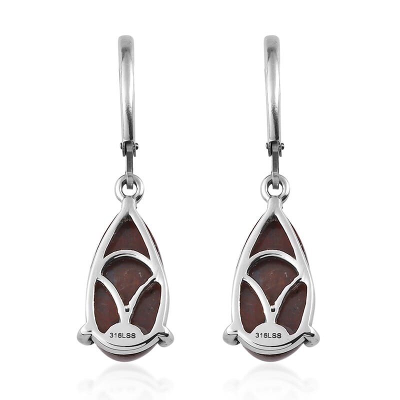 Red Lighting Jasper Lever Back Earrings in Stainless Steel 9.25 ctw