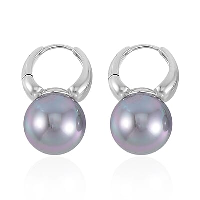 Gray Shell Pearl Earrings in Silvertone