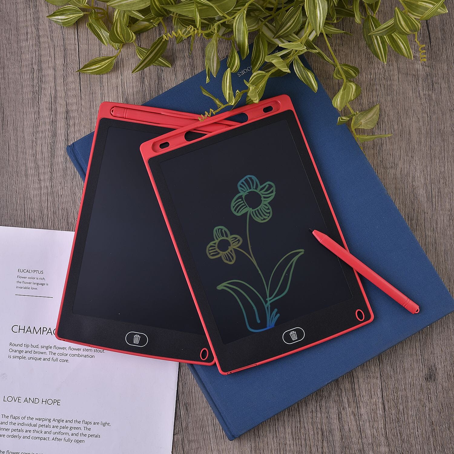 Set of 2 Red LCD Writing Tablet (8.98x5.75x0.24)