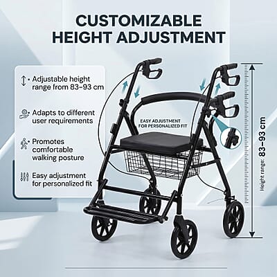 Livmore Black Multifunctional Walking Chair (8 kg)
