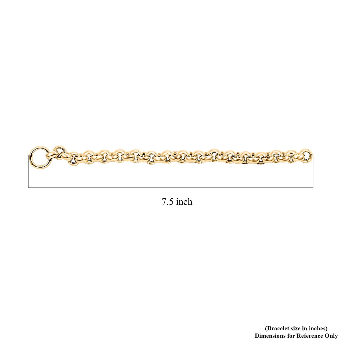 Modena Italian 10K Yellow Gold 10mm Grandissimo Bello Rolo Bracelet (7.50 In) 11.15 Grams image number 4