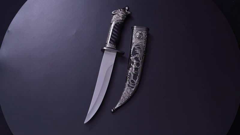 Dark Silver Outdoor Hunting Knife Stainless Steel Blade 6.6" and Scabbard Handle with Cayote Head Pommel