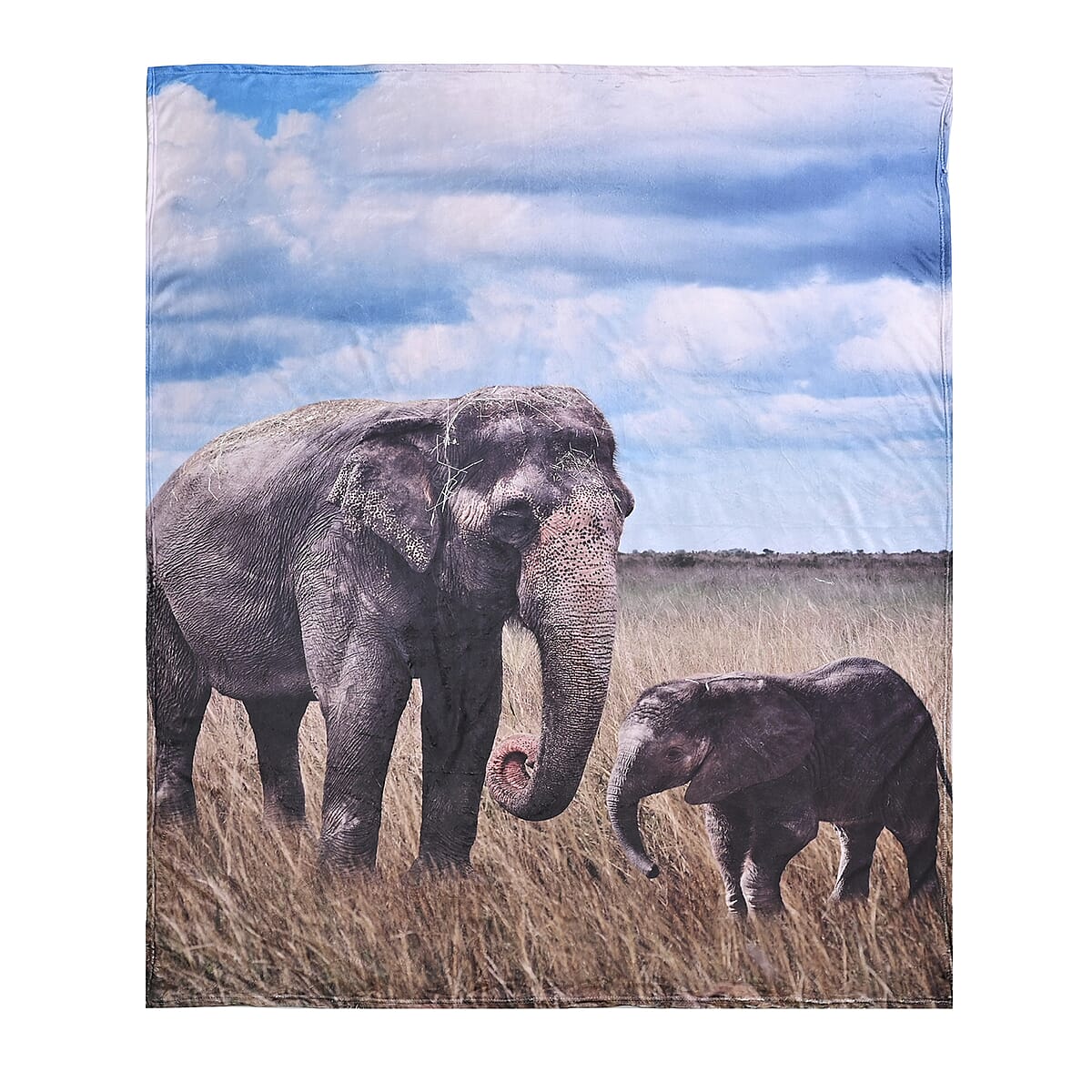 Homesmart Digital Print Elephant Family Pattern Flannel Blanket (60x80) (Microfiber) image number 1