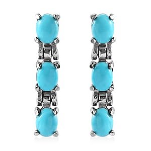 Sleeping Beauty Turquoise Dangle Earrings in Stainless Steel 1.00 ctw