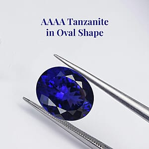 Certified and Appraised AAAA Tanzanite (Ovl Free Size) 15.00 ctw