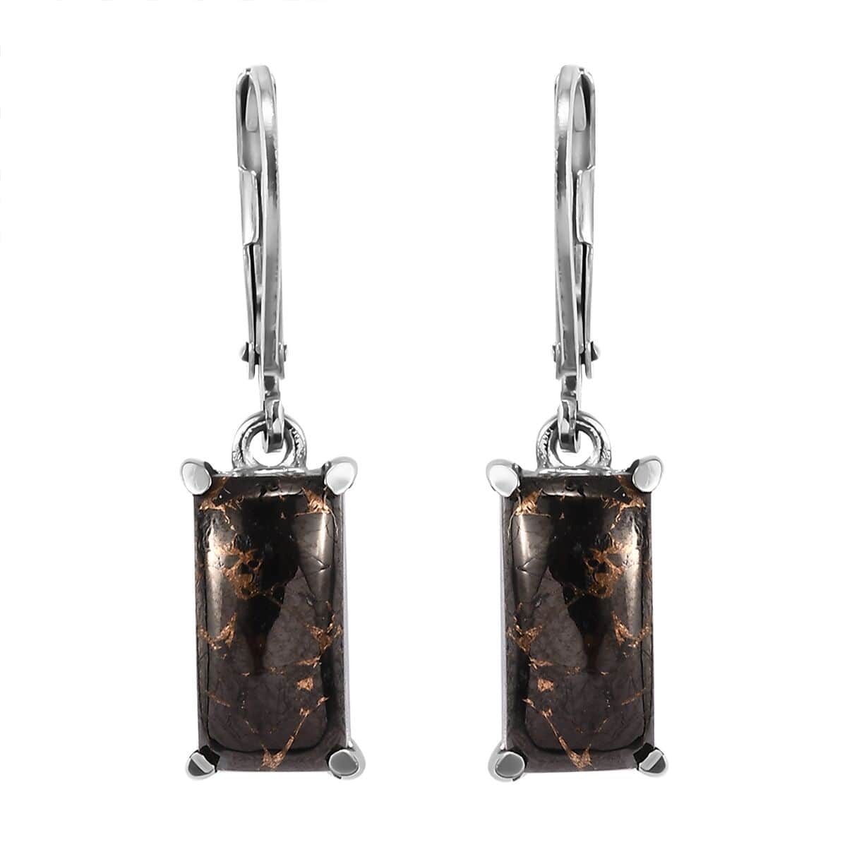 Matrix Silver Shungite Lever Back Earrings in Stainless Steel 3.75 ctw image number 0