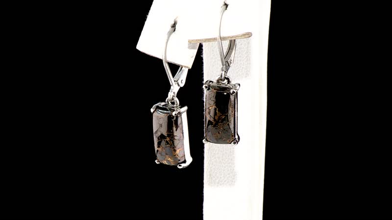 Matrix Silver Shungite 3.75 ctw Lever Back Earrings in Stainless Steel