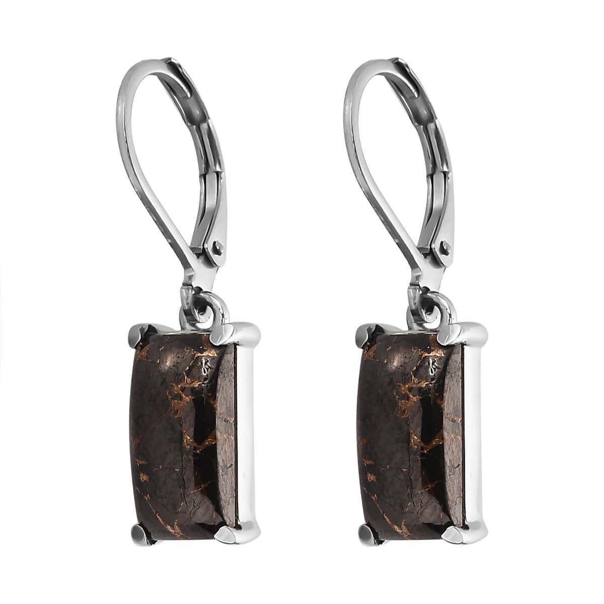 Matrix Silver Shungite Lever Back Earrings in Stainless Steel 3.75 ctw image number 3