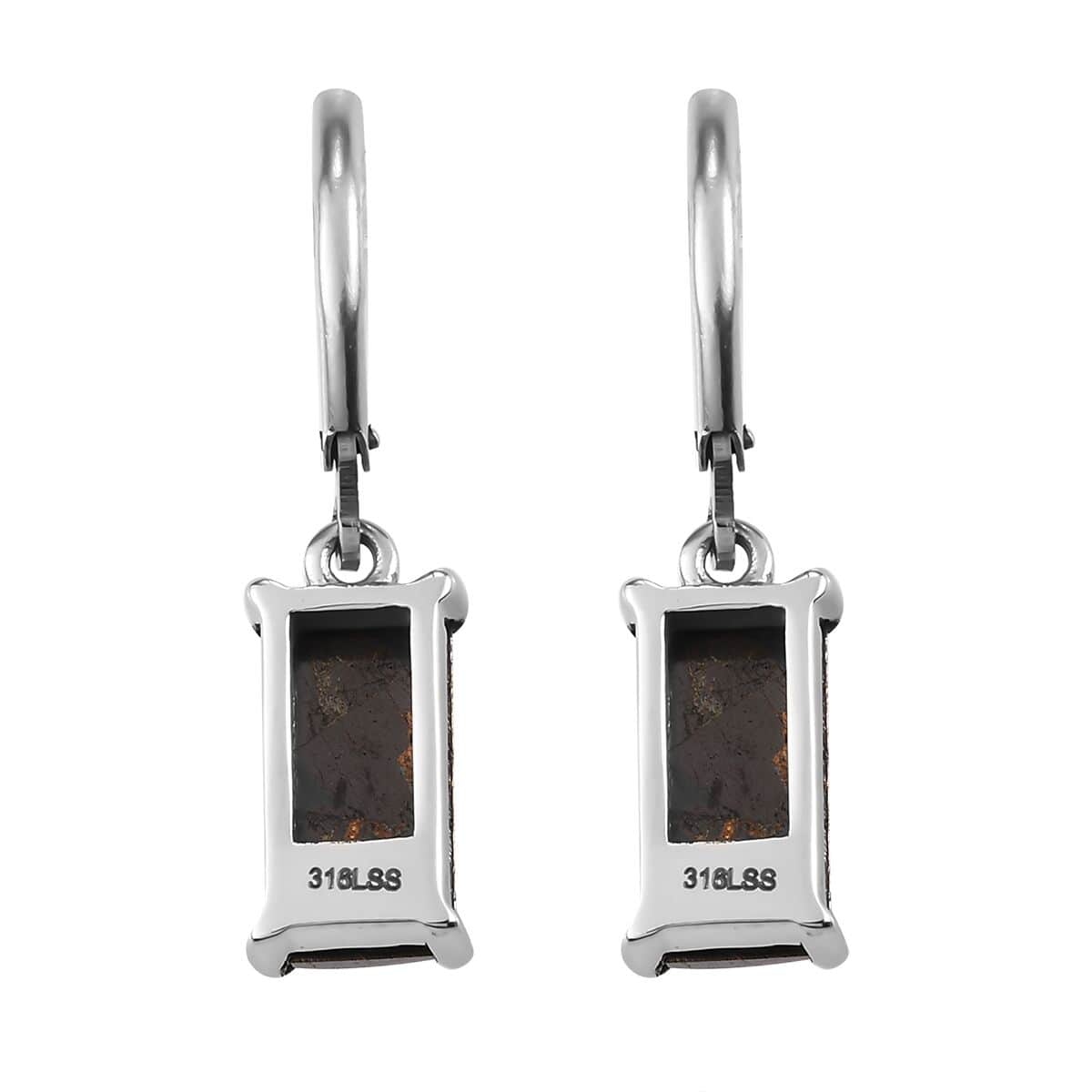 Matrix Silver Shungite Lever Back Earrings in Stainless Steel 3.75 ctw image number 4
